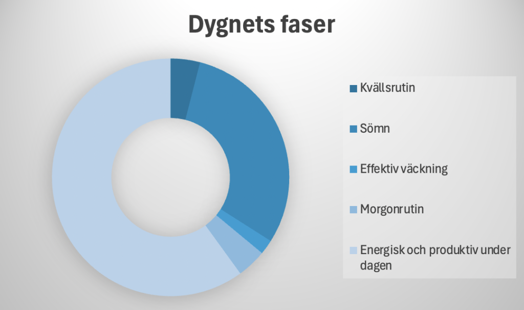 dygnets faser
